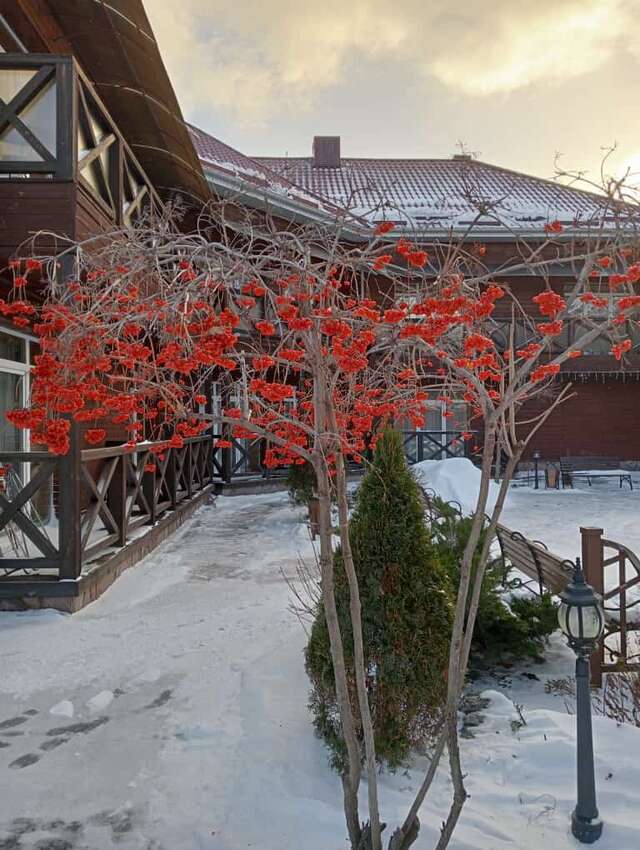 Гостиница Халле Магнитогорск-69